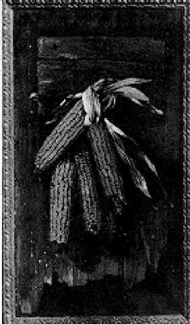 Corn Hanging On A Barn Door By Alfred Montgomery On Artnet