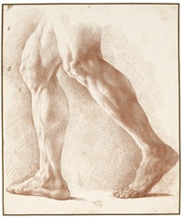 STUDY OF LEGS FOR STUDY OF LEGS FOR