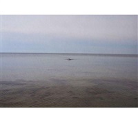 Swimming Glemmingebro, Sweden 2015, 2015–2017 Swimming Glemmingebro, Sweden 2015, 2015–2017