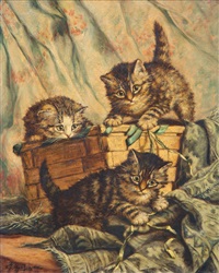 Spelende kittens op een mand en met een lint Spelende kittens op een mand en met een lint