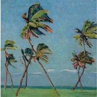 Palm Trees
