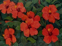 Red Hibiscus