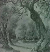 OLIVOS MALLORQUINES