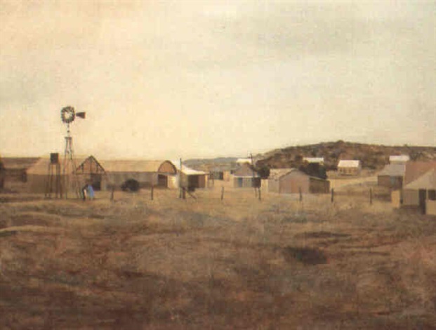 Western Australian Township By Ray Austin Crooke On Artnet
