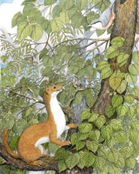 Belette observant un oiseau, 2008