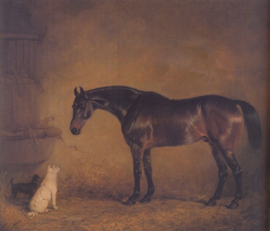 A Bay Hunter With Short Haired And Long Haired Terriers In A Loose
