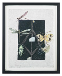 Untitled, Composition with Insects Untitled, Composition with Insects