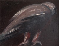 Bearded Vulture, 1988