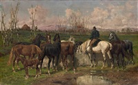 Chevaux à l'abreuvoir