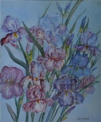 Bearded Iris