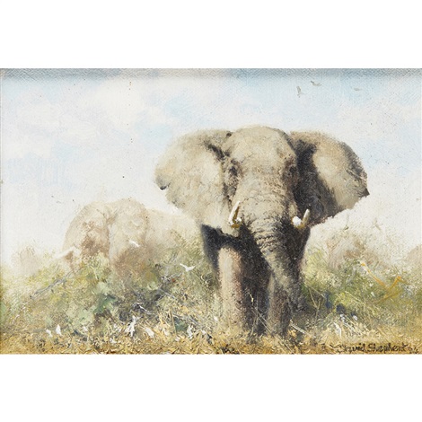 shepherd elephants african david artnet