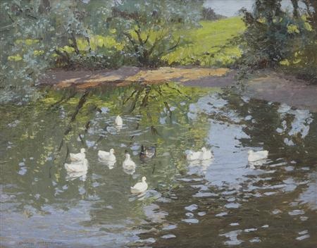 the willows pool