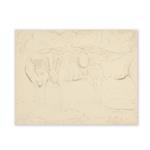 Bisontes