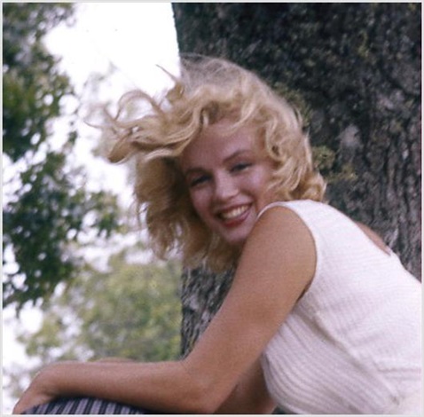 Marilyn Monroe With Windblown Hair Roxbury By Sam Shaw On Artnet