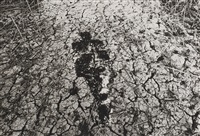 Untitled (from Silueta series)1978, 1978