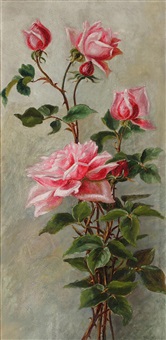 Pink roses against a wall