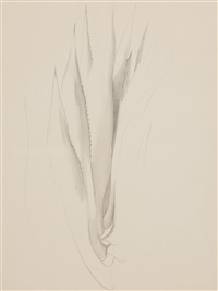 Plant Form-Aloe, 1934