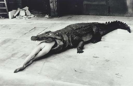 croc ballerina