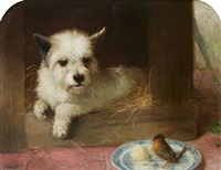 A Terrier and a robin