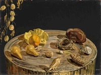 Still-Life with Pine Cone, 1971