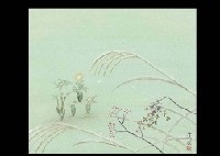 Far East Amur Adonis By Tatsuya Ishiodori On Artnet