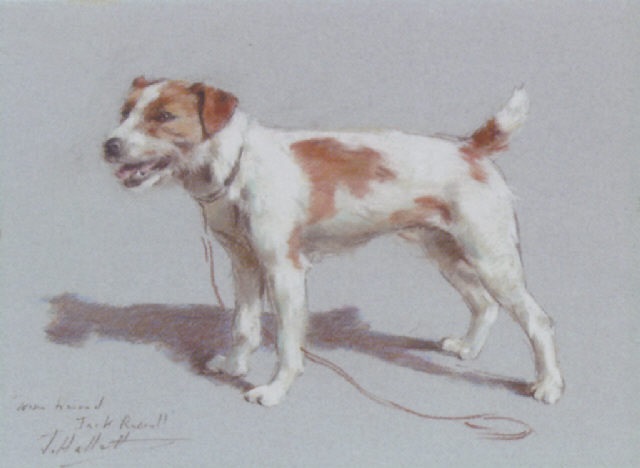 A Wire Haired Jack Russell Terrier By Dorothy S Hallett On Artnet