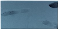 Impression (Tail), 2012