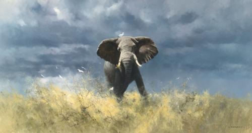 shepherd david elephant bull coming rains sothebys worth wildlife artnet artists biography weight age height irish british