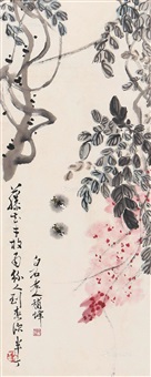 紫藤蜜蜂