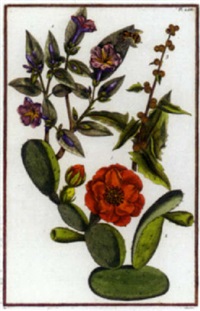 Histoire générale...à la quelle on a..., 1771–1771 Histoire générale...à la quelle on a..., 1771–1771