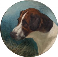 Head of 