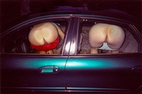Asses, 2004