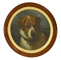 'MONARQUE', A ST BERNARD