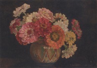 Zinnias