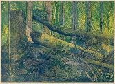BOUBÍNSKÝ PRALES, 1930