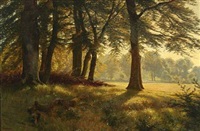 Sunny forest scape