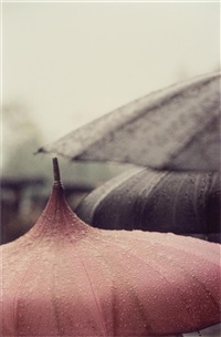 Pink Umbrella Close Up