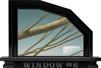 Window #6, 1971–1976