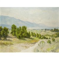 Summer landscape