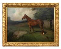 Portrait of an Anglo-Arabian horse