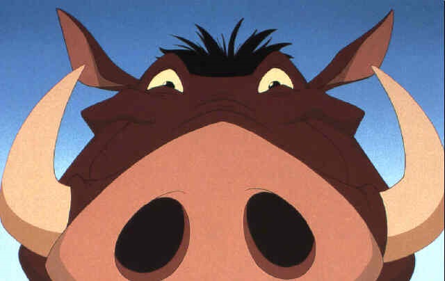 download pumbaa lion king download pumbaa lion king