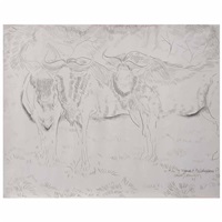 Bisontes, 1961