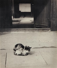 Cat, 1930–1939