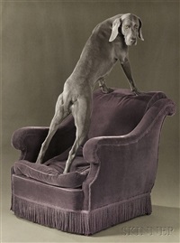 William Wegman : Fashion Photographs: Ingrid Sisch, William 44 William Wegman : Fashion Photographs: Ingrid Sisch, William 22