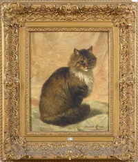 Le chat