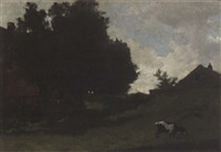 Summer landscape with a grazing goat