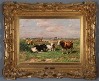 Cows Grazing