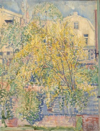 Laburnum tree, 1913