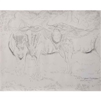 Bisontes, 1961
