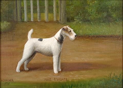 Quotpixie Ogroatsquot A Wire Haired Fox Terrier By Henry Crowther